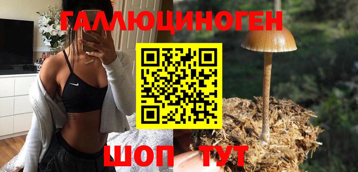 Галлюциногенные грибы Psilocybe Тюмень