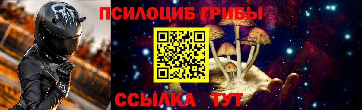 Псилоцибиновые грибы мицелий  Вход с VPN  Тюмень 